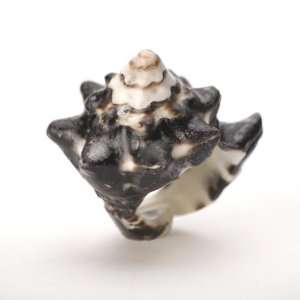  White brown conch shell ring natural by 81stgeneration 
