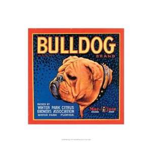  Bull Dog   Poster by Vision studio (13x19): Home & Kitchen