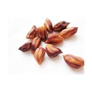  Wild Jungle Peanut Rare Exotic Tree Seeds 20 Pack Great 