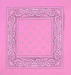  Light Pink Paisley Bandana: Clothing