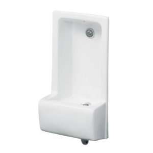  Kohler 5295 0 Glenguard Cuspidor Drinking Fountain: Home 