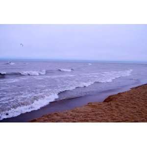  Illinois Beach State Park Windsurfer: Landscape Photograph 