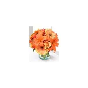 FTD Simply Bewitching Bouquet   DELUXE  Grocery & Gourmet 