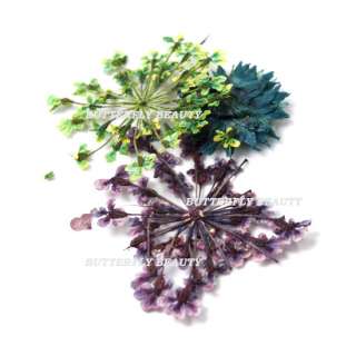   Dried Flower for Nail Art Acrylic UV Gel Tips Design with case