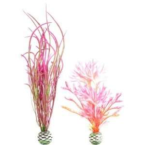  biOrb Plant Pack   Red/Pink (Quantity of 3) Health 