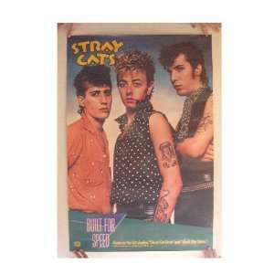  Stray Cats Popster Built For Speed Close Up Band The 
