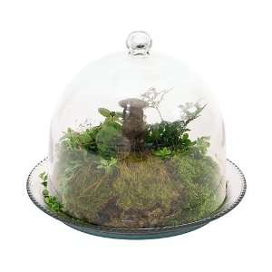  Achla BJT 03 Bell Jar Terrarium III Patio, Lawn & Garden