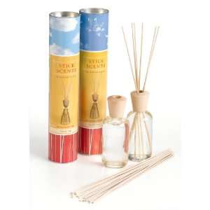  Stick Scents Reed Diffusers, 1 each of Fresh Air and Sea 