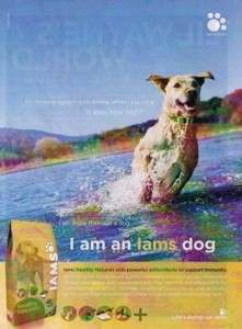 2009 Iams Healthy Naturals Dog Food Magazine Ad  