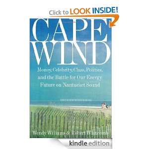 Cape Wind Money, Celebrity, Class, Politics, and the Battle for Our 