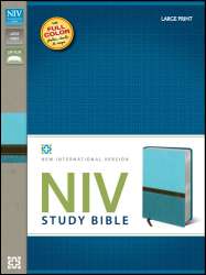 NIV Study Bible Large Print Italian Duo Tone Turquoise Green Leather 