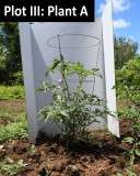 chemical fertilizer bokashi kitchen waste pro basic grow foliar spray
