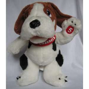 News Channel 5 Stuffed Dog