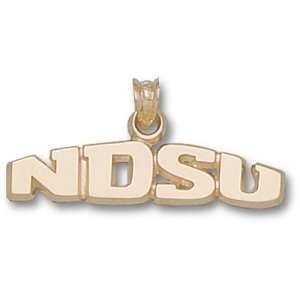   North Dakota State University Ndsu Pendant (14kt): Sports & Outdoors
