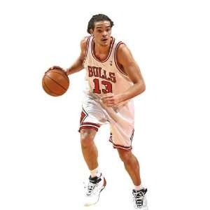  Joakim Noah Chicago Bulls NBA Fathead REAL.BIG Wall 