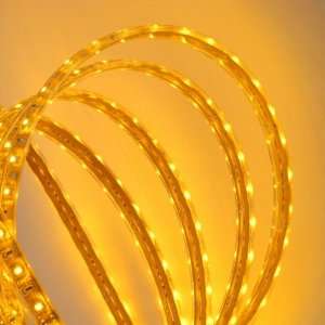   Type, 300 LED, 5 Meter or 16 Ft, 24 Watt, 12 Volt: Home Improvement