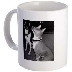  Pets Mug by CafePress: Kitchen & Dining