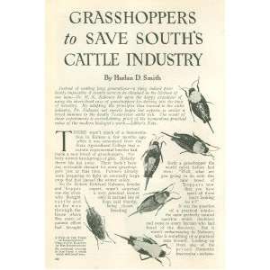    1913 R K Nabours Genetic Breeding Cattle Heredity 