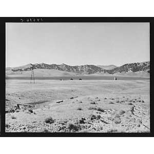   FSA migrant camp,California,Kern County,CA,1938