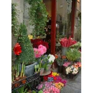  Florist in Ile St. Louis, Paris, France Photographic 