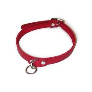  Leather Choker w/ O Ring, Red, Medium Health & Personal 