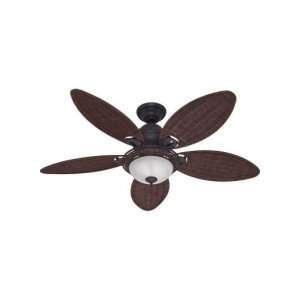  Hunter Fan 54 Ceiling Fan with Light: Home Improvement