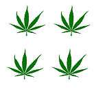4PACK POT BUD Leaf weed 420 marijuana sticker/de​cal