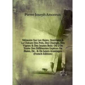   De Leurs Avantages (French Edition) Pierre Joseph Amoreux Books