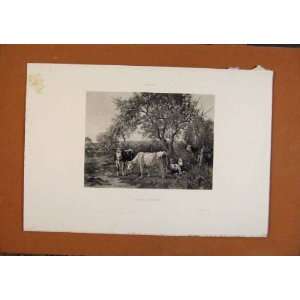   : Salon 1888 Watelin Spring Pastures Cattle Fine Art: Home & Kitchen