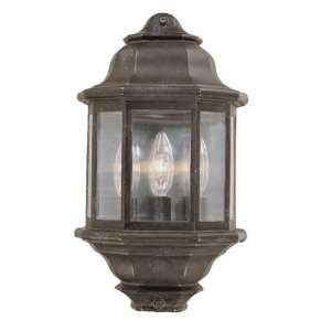  Acclaim Lighting 6003MM 3 Light Large Outdoor Sconce: Home 