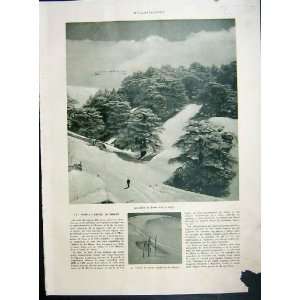  Liban Winter Sport Ski Cedres Kreissch Korsat 1935