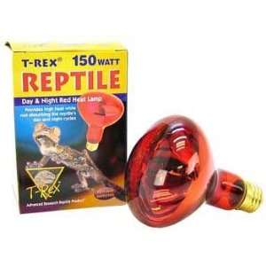  T Rex Inc. Night Red Spot Bulb 50 Watt