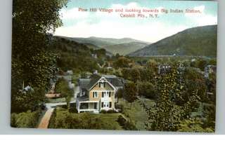 Pine Hill Village Catskill Mts NY c1910 Postcard  