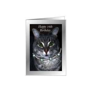  16th Happy Birthday ~ Spaz the Cat Card Toys & Games
