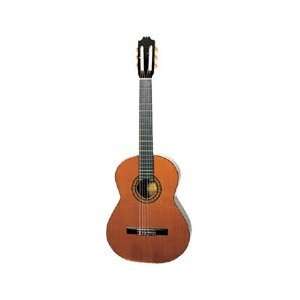    Artista Flamenco Classical Guitar Spanish: Musical Instruments