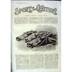  1901 Horse Racing Sport Merry Rous Sykes Hawley Scott 