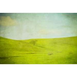  alone on gentle slope, Limited Edition Photograph, Home 