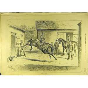    1880 Horse Kick Brute Stables Sturgess Horses Print