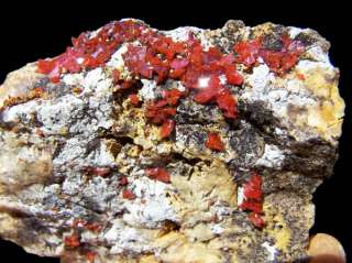 cm Genuine Cherry Red Wulfenite Crystals on Matrix  