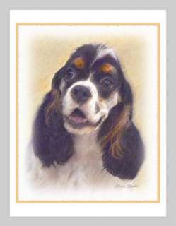 Cocker Spaniel Parti Color Blank Note Greeting Cards  