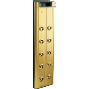   Kohler BodySpa Shower Panel Vibrant Polished Brass: Home Improvement