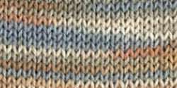 REGIA Self Striping Wool Blend SOCK YARN   Carat Color  