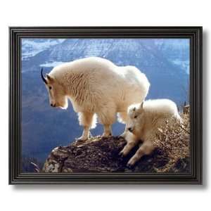  Rocky Mountain Goat Sheep Kids Room Animal Wildlife Picture 