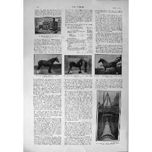    1900 MANSION HOUSE HORSES HENDERSON FLOODS COOKHAM