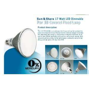 17 Watt CREE LED Dimmable Par 38 Covered Flood Lamp Bulb (Warm White 