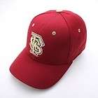 NEW Zephyr Florida St. Seminoles DH Fitted Hat Sem  
