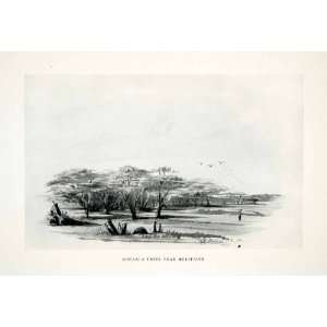   Meritsane Northern Cape Africa Setswana Art   Original Halftone Print
