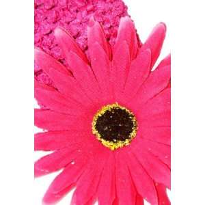    NEW Pink Daisy Flower Girls Crochet Headband, Limited.: Beauty