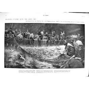   : 1901 CHRIST MARTHA MARY PILCHARD FISHING SEINE NET: Home & Kitchen
