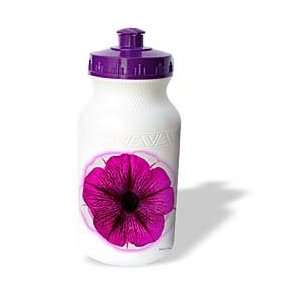   Jr Flowers   Pink and White Petunia   Water Bottles